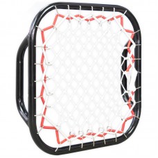 Hand rebounder